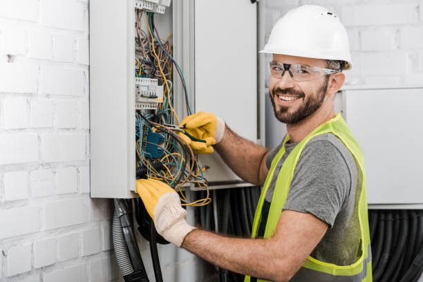 Best Electrical System Inspection  in Allison, IA