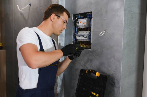 Best Licensed Electrician  in Allison, IA